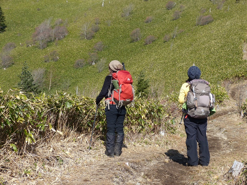 大川入山の留守のひつじ_e0271890_14325536.jpg