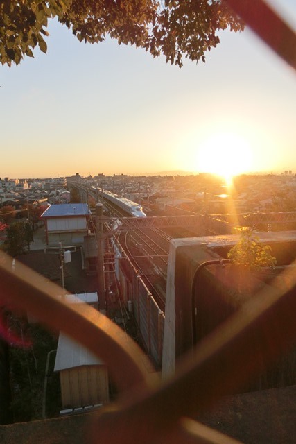 d0181492_054988.jpg