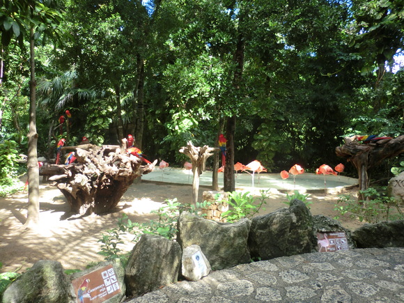 e0161692_015521.jpg