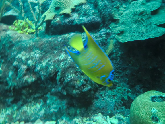 e0161692_0402060.jpg