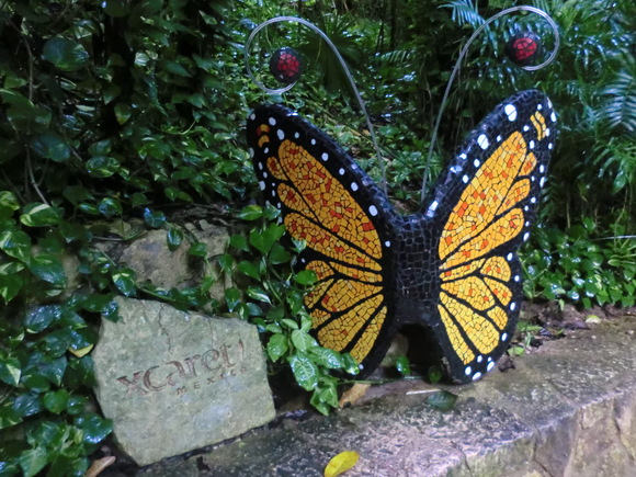 e0161692_0482720.jpg