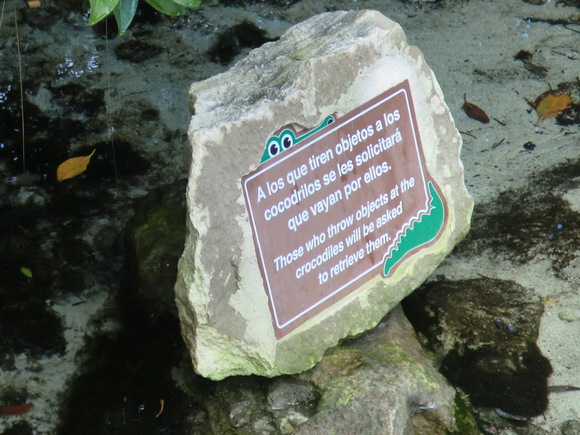 e0161692_0533452.jpg