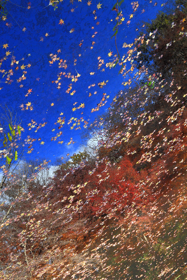 d0192097_21252962.jpg