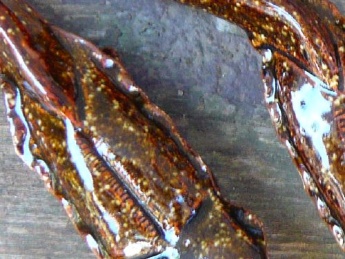 c0024502_212610100.jpg