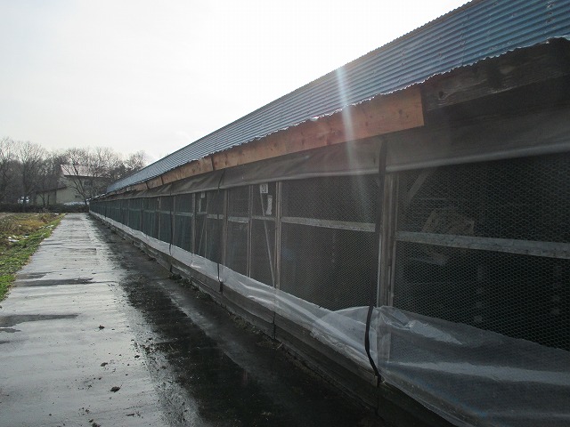 f0202703_029068.jpg