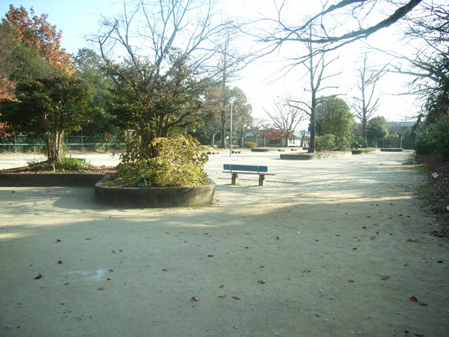 a0167204_20241478.jpg