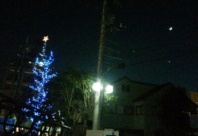 c0212604_734440.jpg