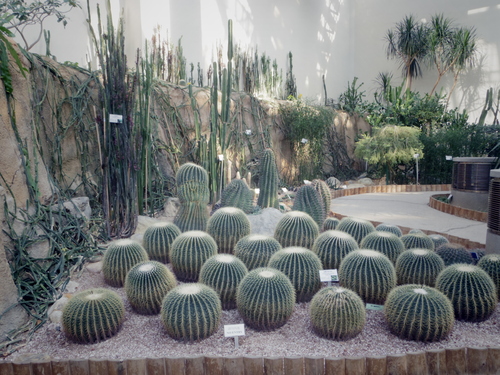 e0123104_16294815.jpg