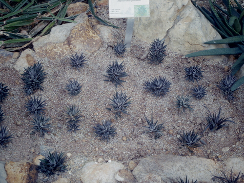 e0123104_16302769.jpg