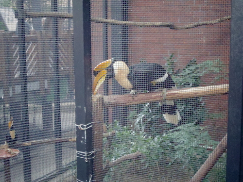 e0123104_1652433.jpg