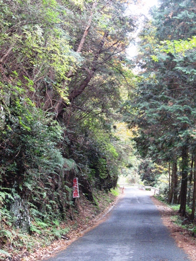 d0125208_1740411.jpg