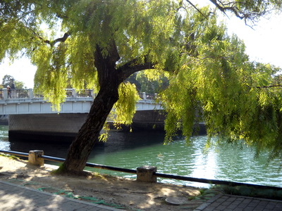 c0074809_10421050.jpg
