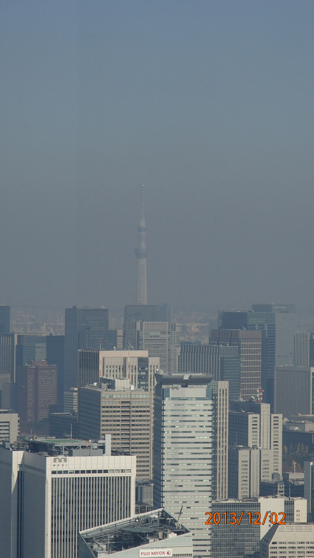 c0165909_1452430.jpg