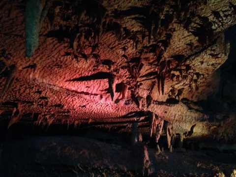 c0180209_21122485.jpg