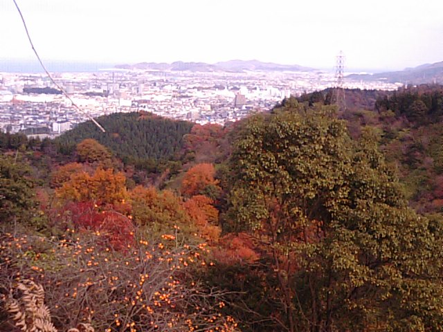 新居浜市の里山紅葉_f0231709_15401129.jpg