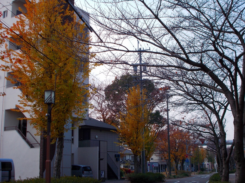 b0276912_1293050.jpg