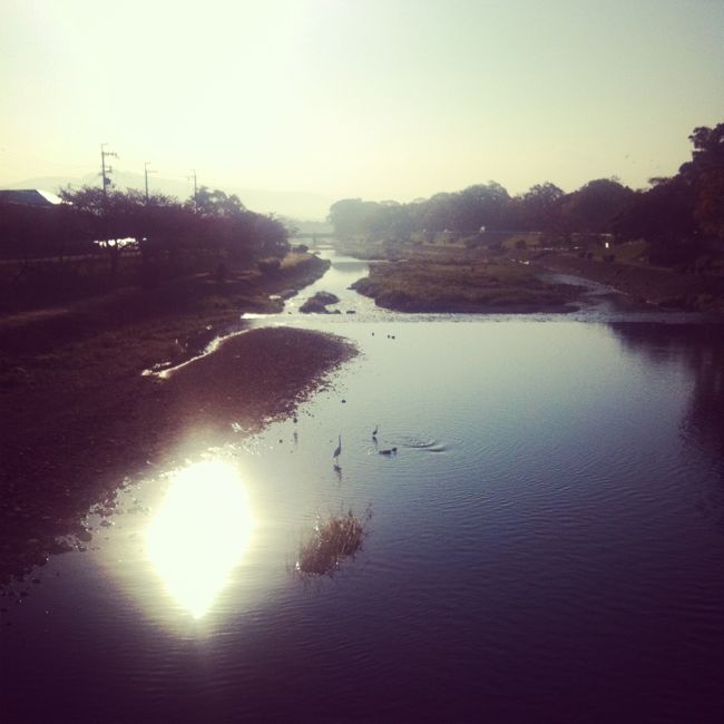 古都・京都にごあいさつ。_a0003318_10324813.jpg