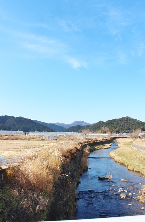調査!?_b0220318_6202119.jpg