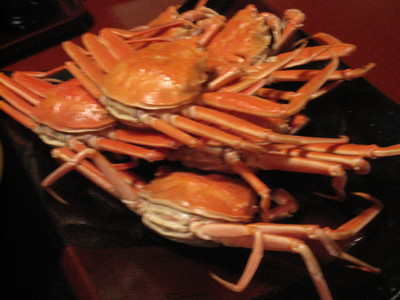 c0094218_2233627.jpg