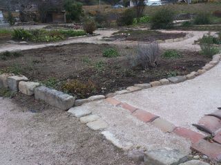 c0136324_1749191.jpg