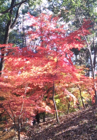 b0082125_13422877.jpg