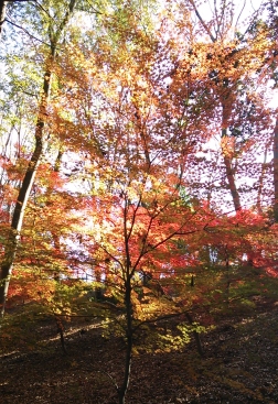b0082125_13442259.jpg