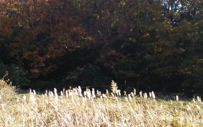 b0082125_13463869.jpg