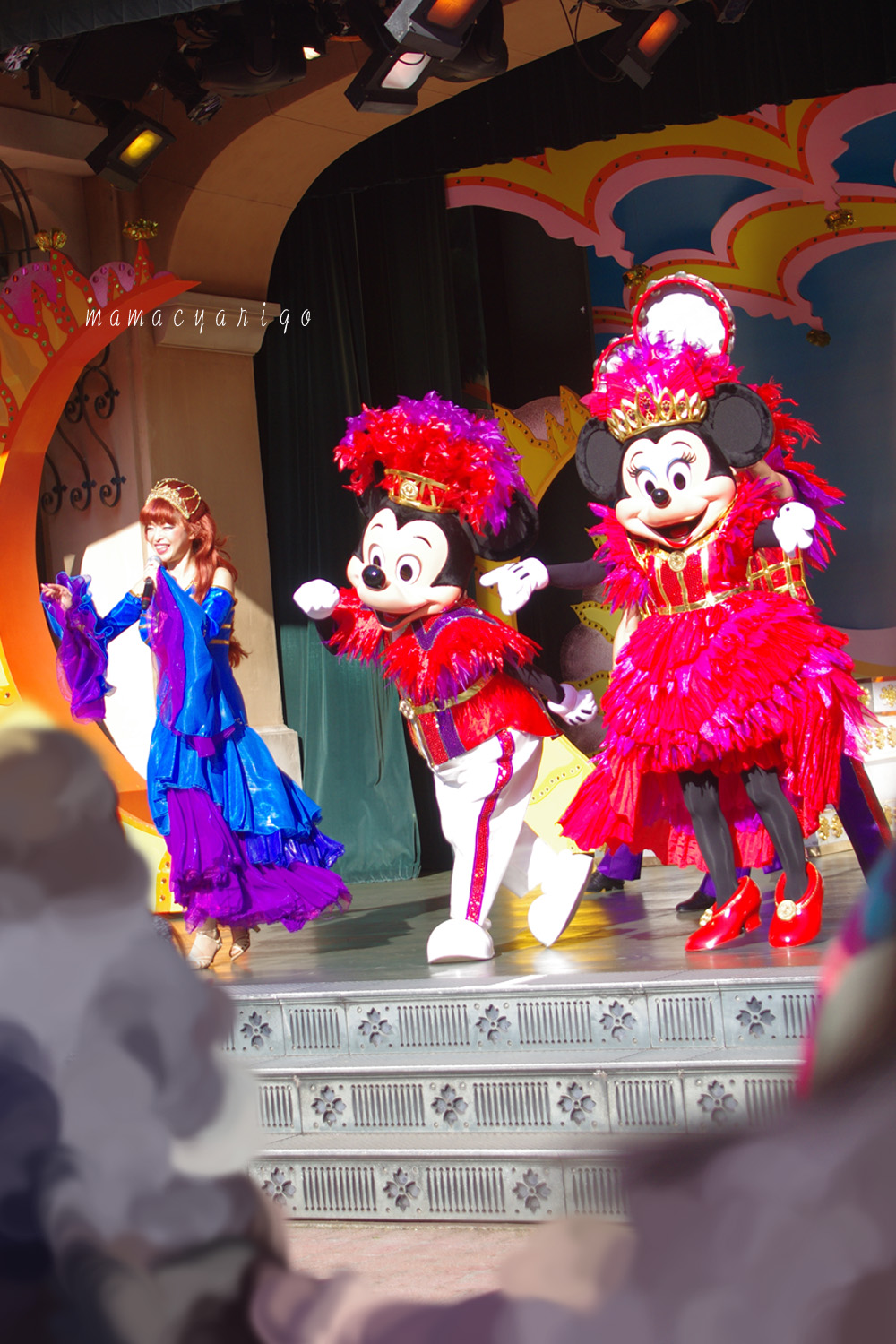 クリスマスのTDL　～ミニー・オー・ミニー～_e0303927_6365860.jpg