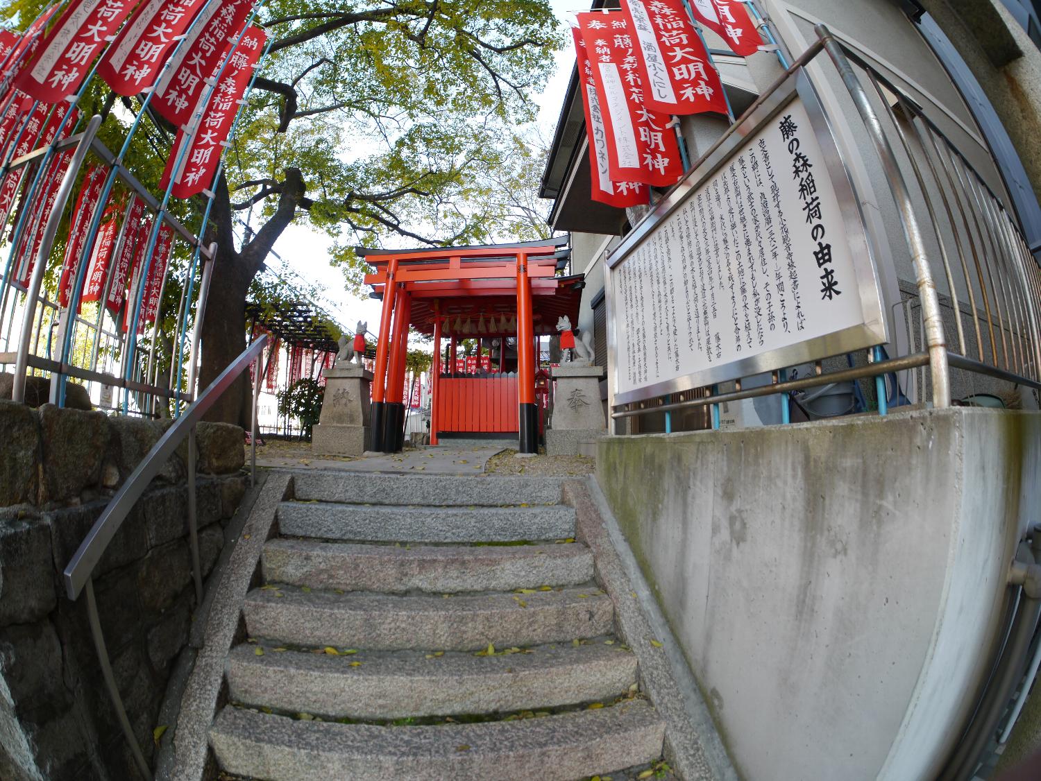 b0069128_15315216.jpg