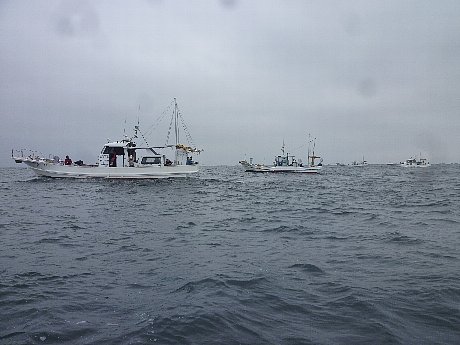 e0198329_11301248.jpg