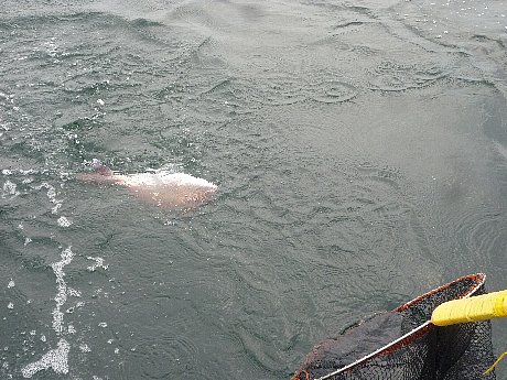 e0198329_11315916.jpg