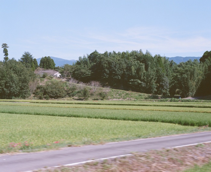 a0255730_8183660.jpg