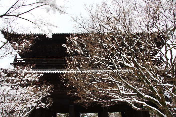 雪の南禅寺（前編）_b0169330_2129693.jpg