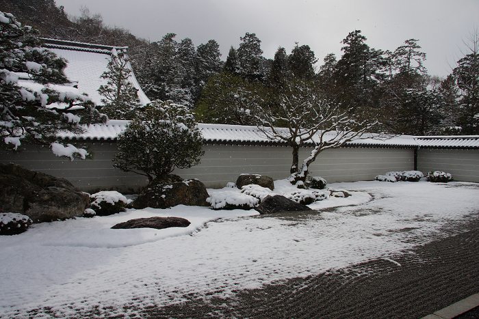 雪の南禅寺（前編）_b0169330_21511034.jpg