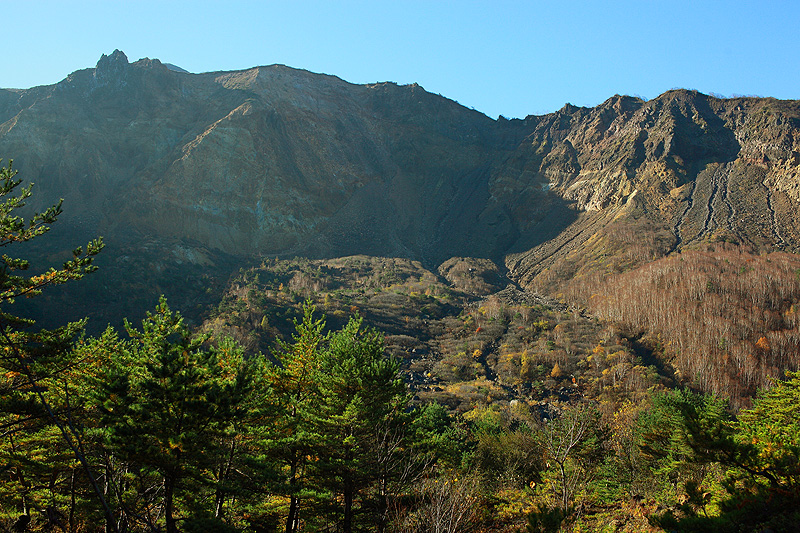 c0313231_1445487.jpg