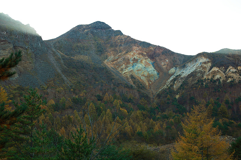 c0313231_1451165.jpg