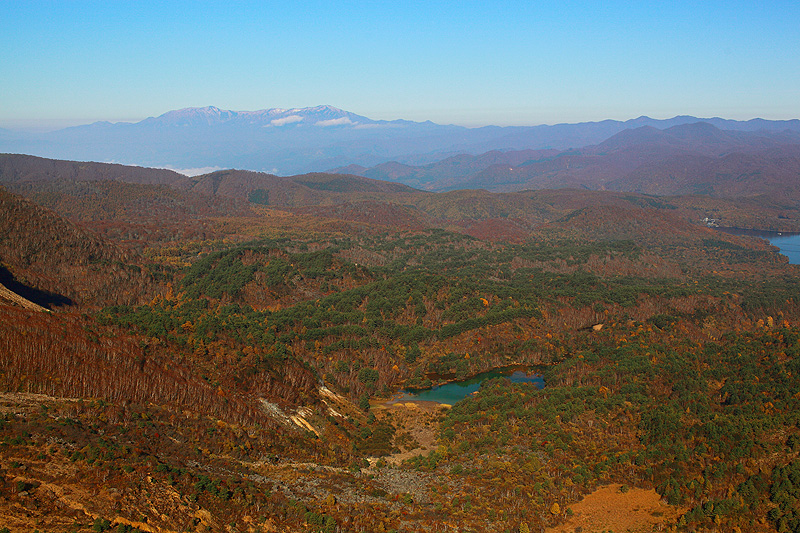 c0313231_1493637.jpg
