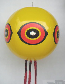 b0213435_048822.png