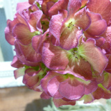 e0042839_034869.jpg