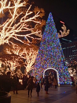 f0073639_1941949.jpg