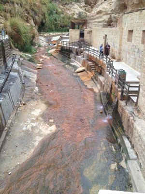 الينابيع الساخنة في الاردن hot springs in Jordan　温泉＠ヨルダン_e0107561_463216.jpg