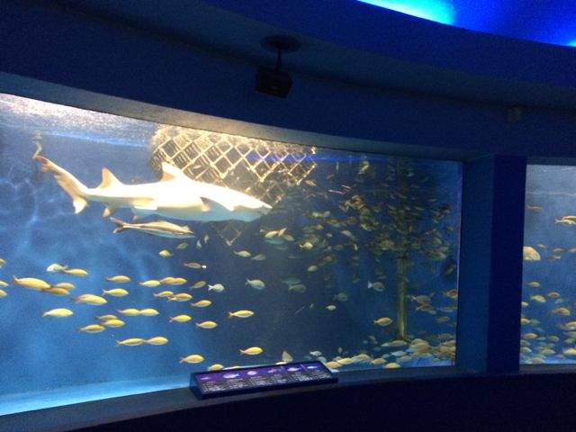 a0076262_1334057.jpg
