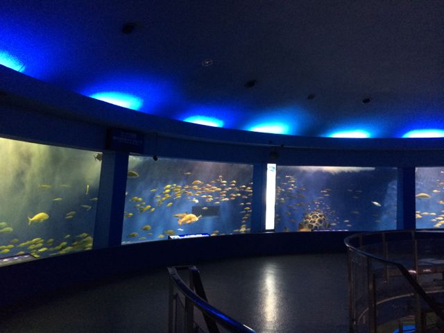 a0076262_1334999.jpg