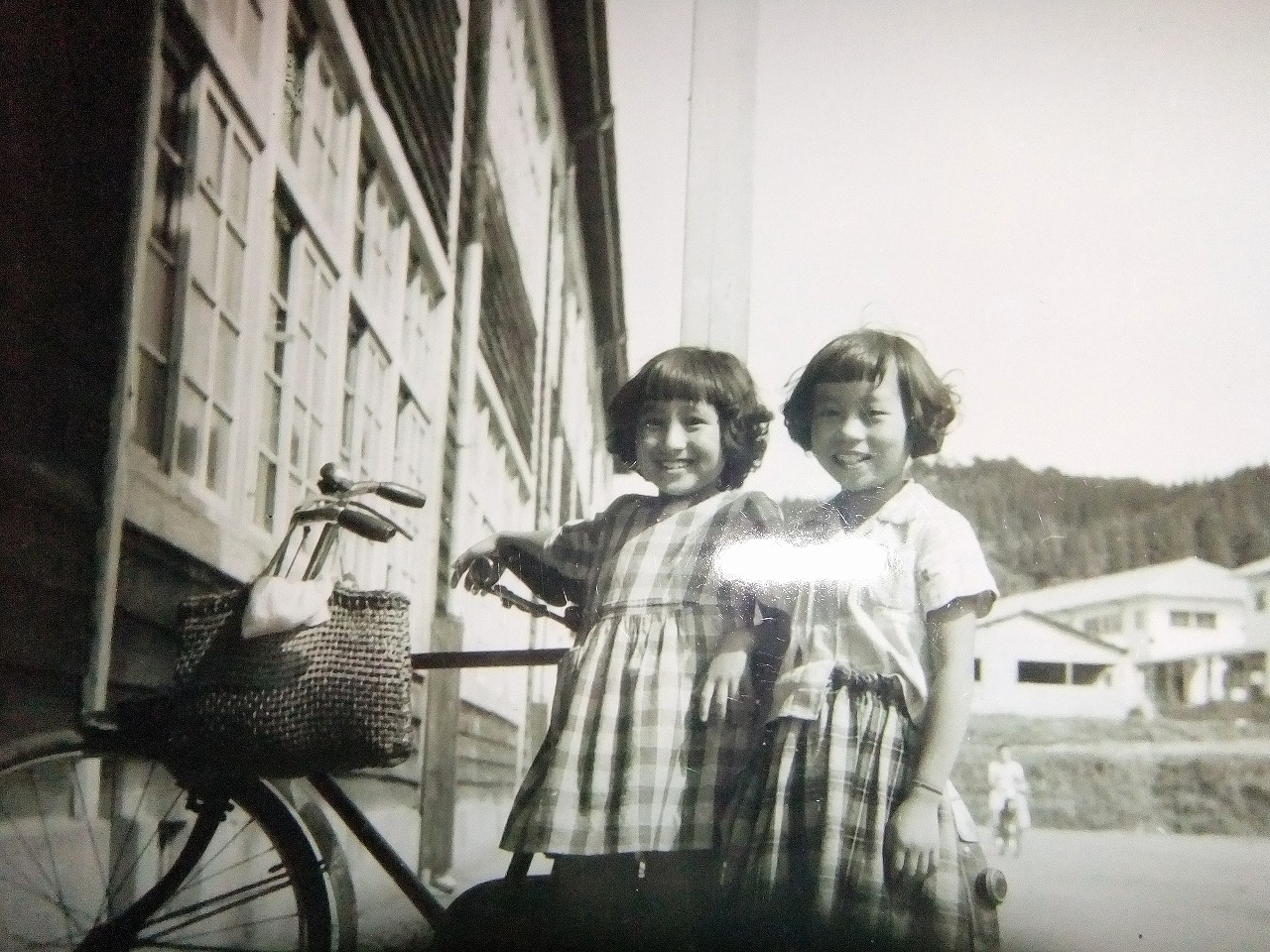 昭和の小学3年生 押し花おばさんの気まぐれブログ