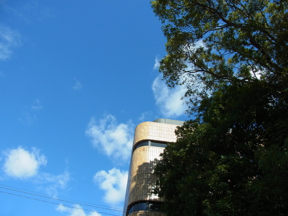 b0194267_15361849.jpg