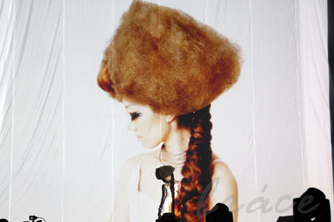 【CONTEST】SPC全日本理美容選手権 決勝大会2013 アーティスティックで華麗なヘアショーステージ!_c0080367_11472026.jpg