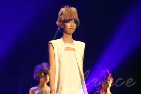 【CONTEST】SPC全日本理美容選手権 決勝大会2013 アーティスティックで華麗なヘアショーステージ!_c0080367_13563003.jpg