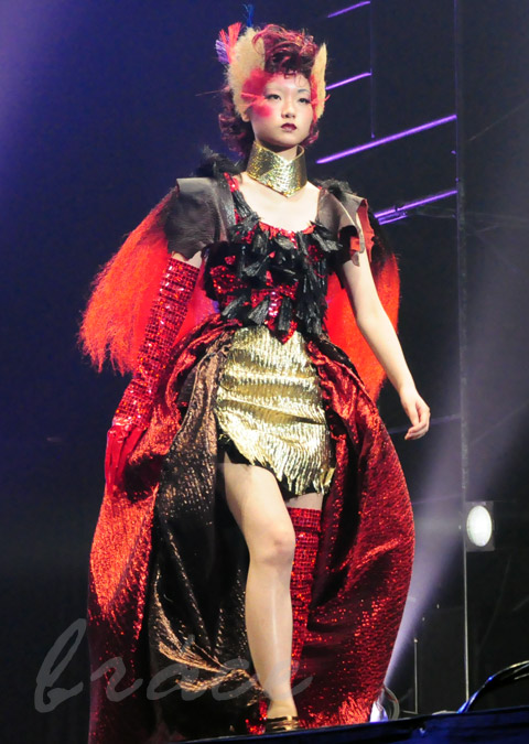 【CONTEST】SPC全日本理美容選手権 決勝大会2013 アーティスティックで華麗なヘアショーステージ!_c0080367_14001437.jpg