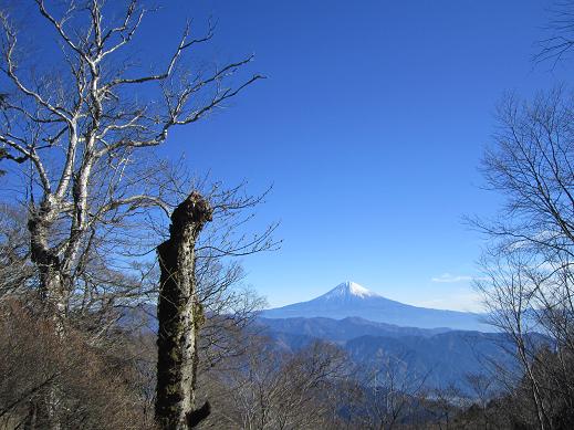 大光山 おおぴっかりやま　　安倍峠から草木へ_f0302771_16205861.jpg