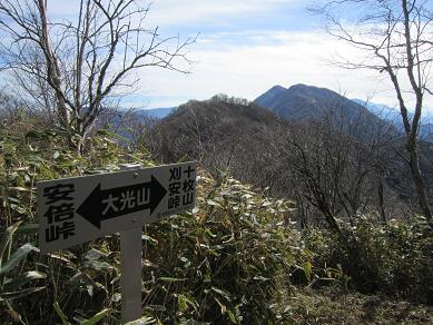 大光山 おおぴっかりやま　　安倍峠から草木へ_f0302771_16231763.jpg